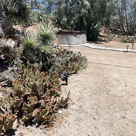 Mojave Desert Pied-A-Terre Yucca Valley Luaran gambar