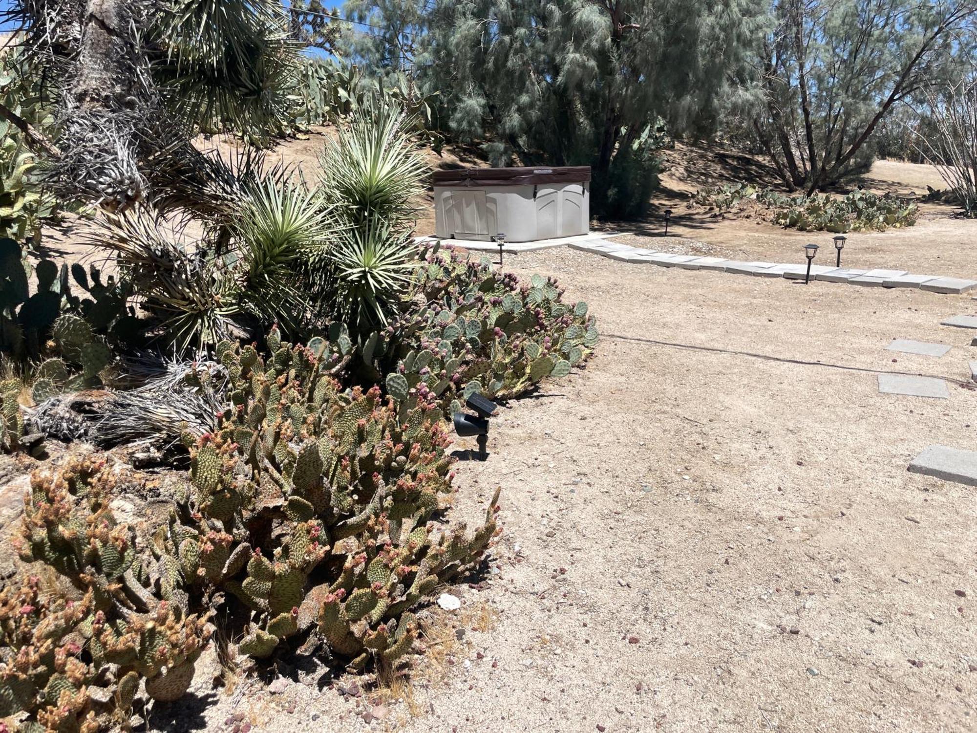 Mojave Desert Pied-A-Terre Yucca Valley Luaran gambar